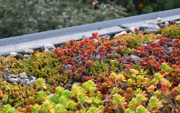 the cost of Roger Ground green roof installation